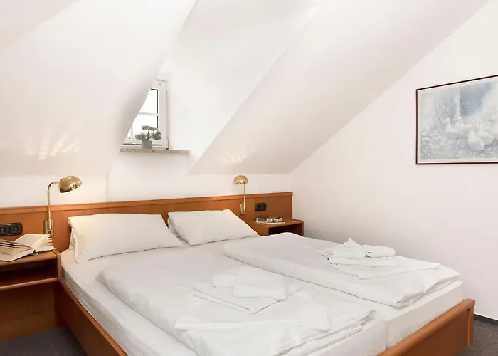 Kaiserhof 38 Muschelkrebs Kellenhusen